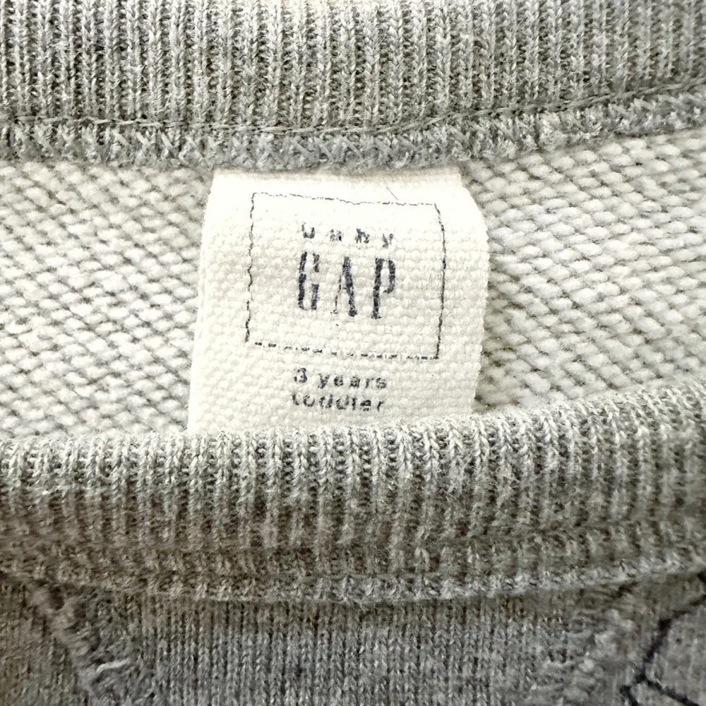 GAP | Dinosaur Sweatshirt Bundle (3T) 🦖